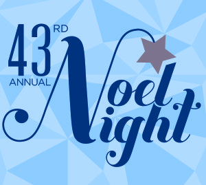 MDI-NoelNight_2015_Fractal_4C